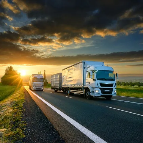 ÜBERWACHUNGSGERÄTE FÜR LKW